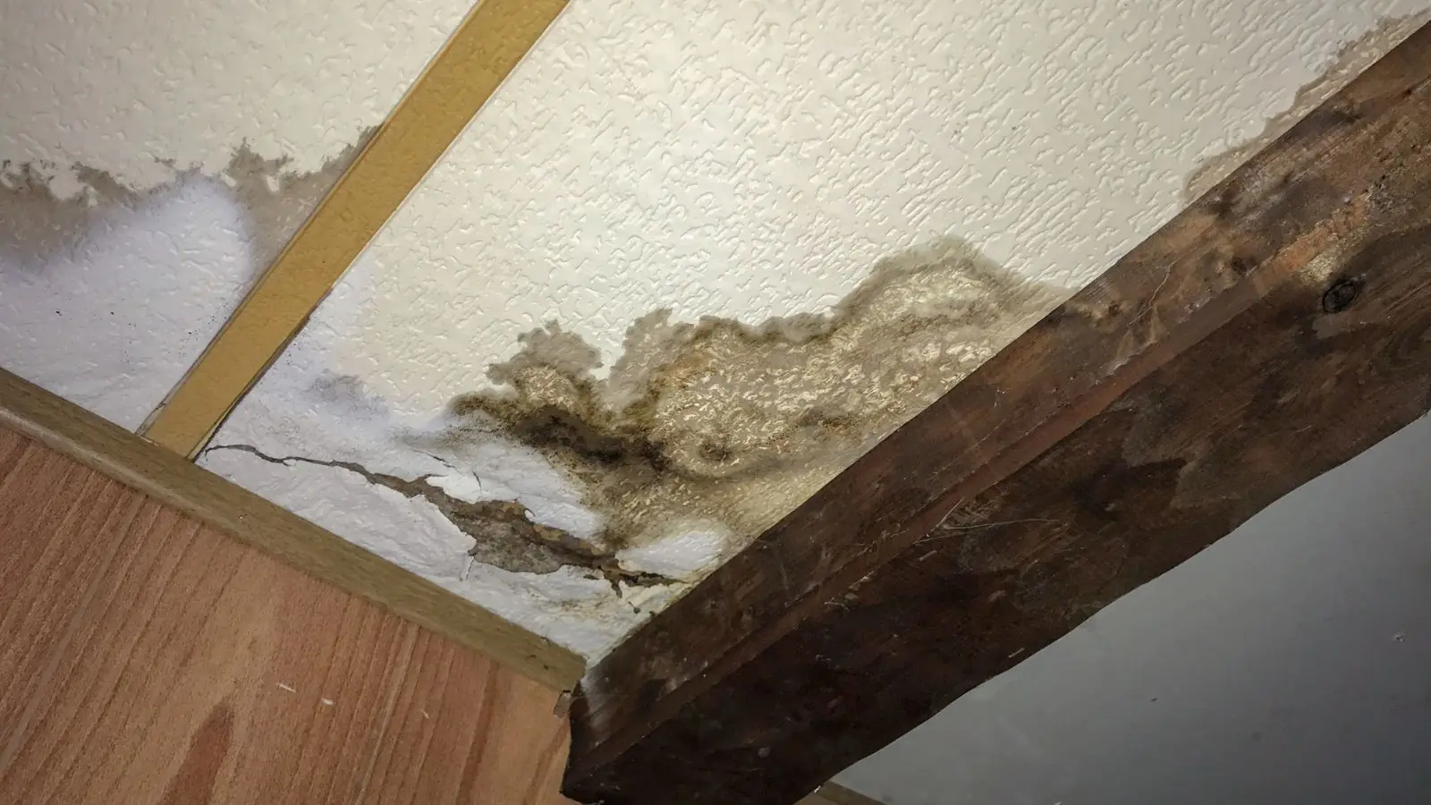 Water stain and bubbling paint on a ceiling beside a dark wooden beam