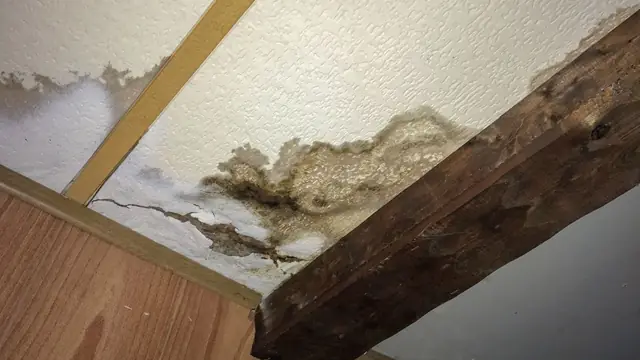 Water stain and bubbling paint on a ceiling beside a dark wooden beam