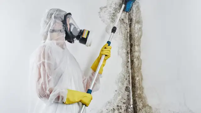 Worker in a protective suit and respirator treating a moldy wall with a pole sprayer